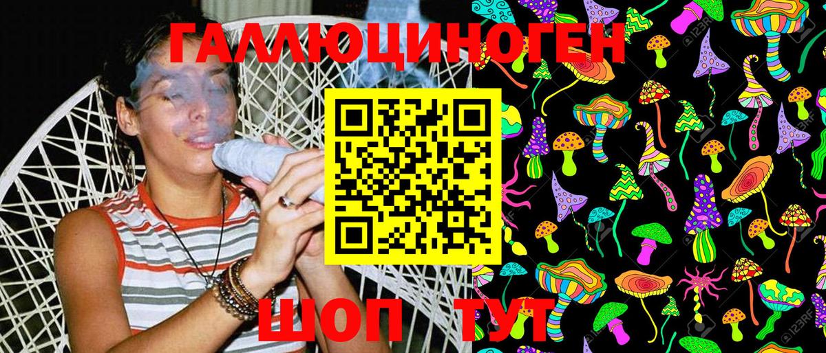 Псилоцибиновые грибы Psilocybe Арсеньев