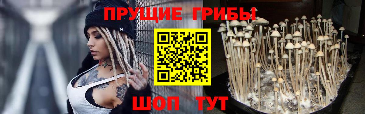 Галлюциногенные грибы MAGIC MUSHROOMS  Галлюциногенные грибы Magic Shrooms  Вход с VPN  Арсеньев 